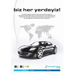 DVX Mavi Uçlu Detay Temizlik Toz Fırçası