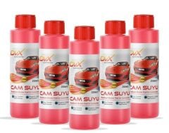 YAZLIK CAM SUYU KIRMIZI 250 ML PET